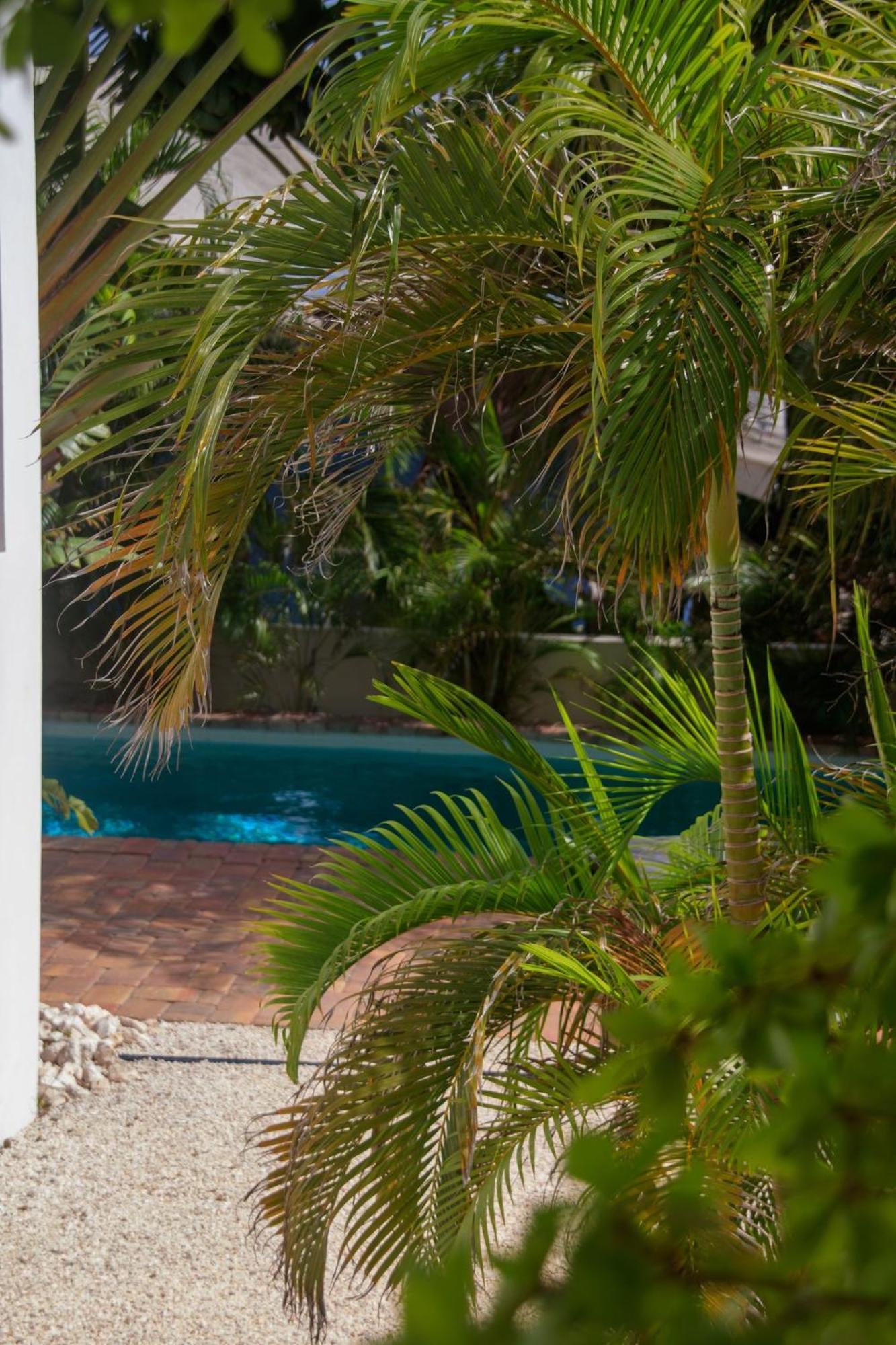 Major. Suites Curacao Willemstad Kültér fotó
